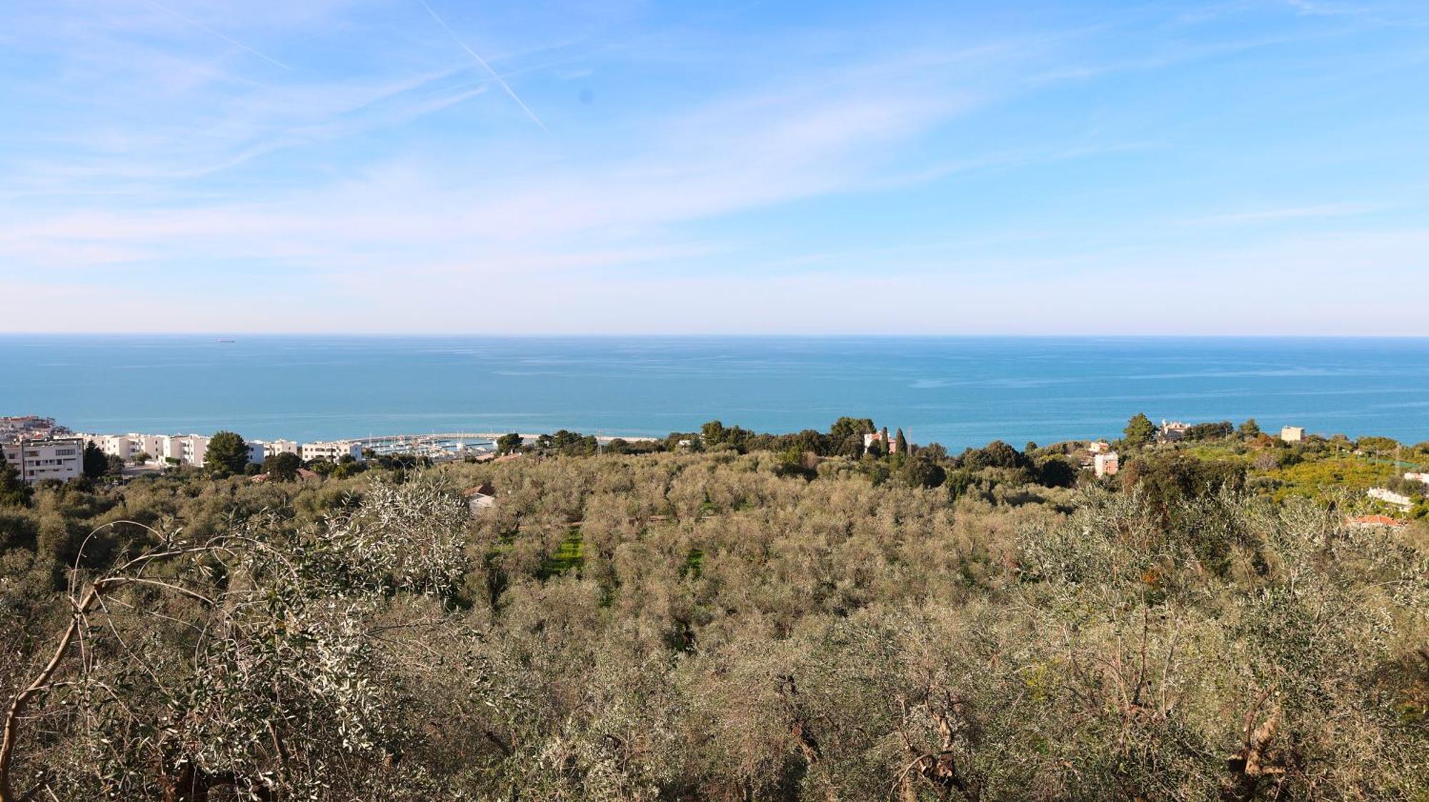 I Frangiventi Panzió Rodi Garganico Kültér fotó
